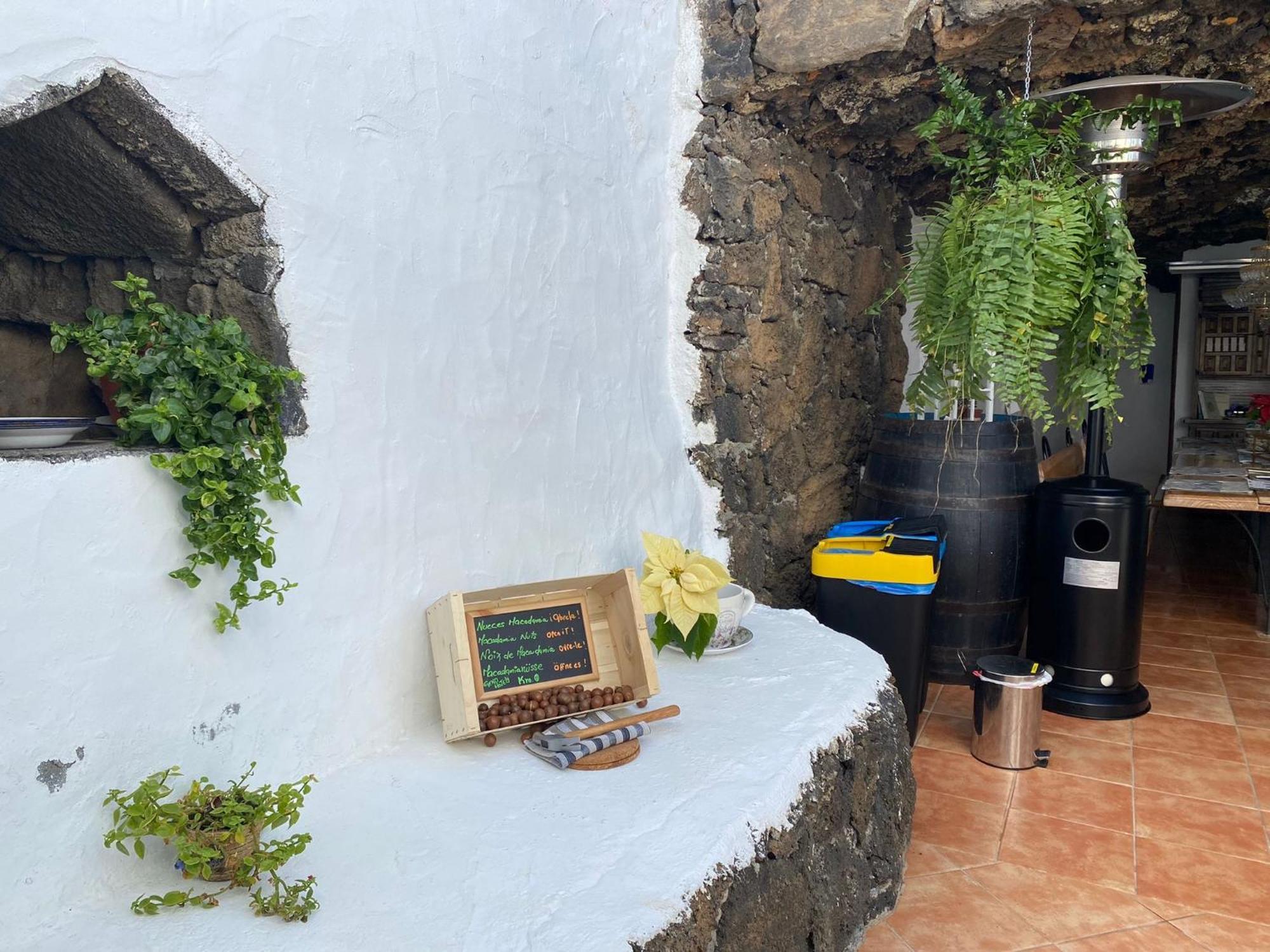Geko Hotels Los Llanillos Eksteriør bilde